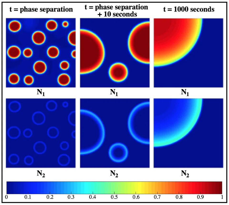 Figure from “Partial demixing of RNA-protein complexes leads to intradroplet patterning in phase-separated biological condensates”