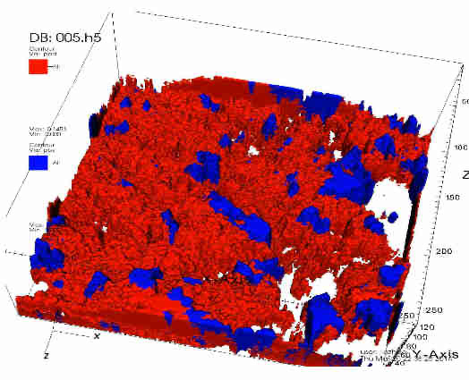 Three-dimensional rendering of a rough heterogeneous biofilm with two bacterial species shown in red and blue