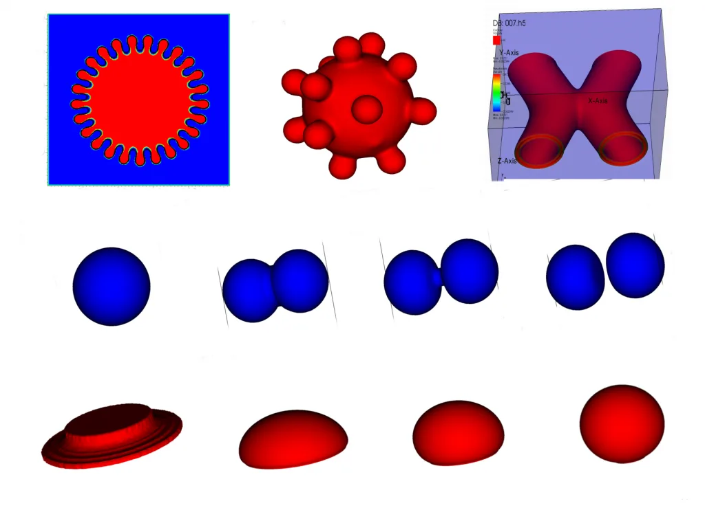 Collage of cell simulations: a wrinkled membrane, a blebbing cell, a dumbbell shape, a dividing cell, and a rounding cell